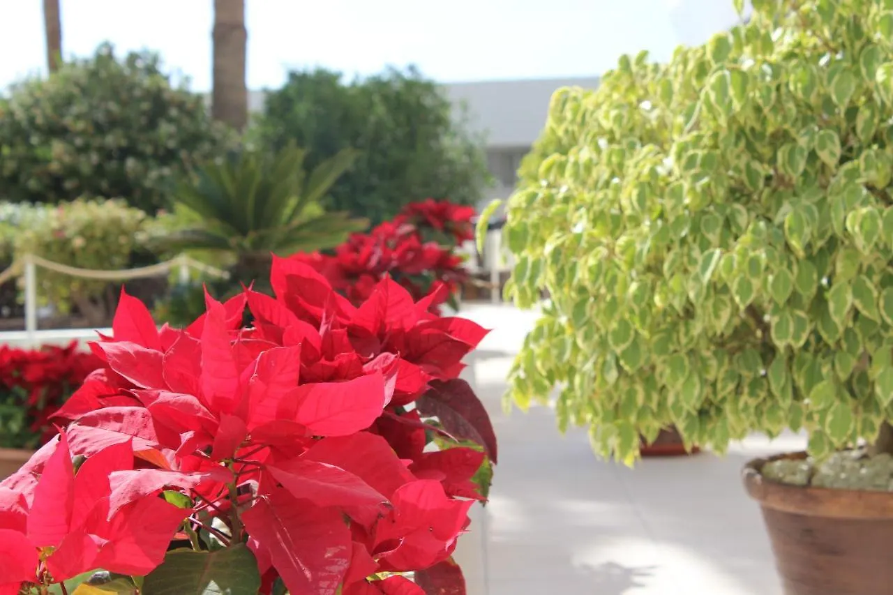 Club Villa Mar - First Line With Sea View Costa Adeje  Apartment